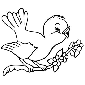 Desenho pássaro Kawaii para Colorir