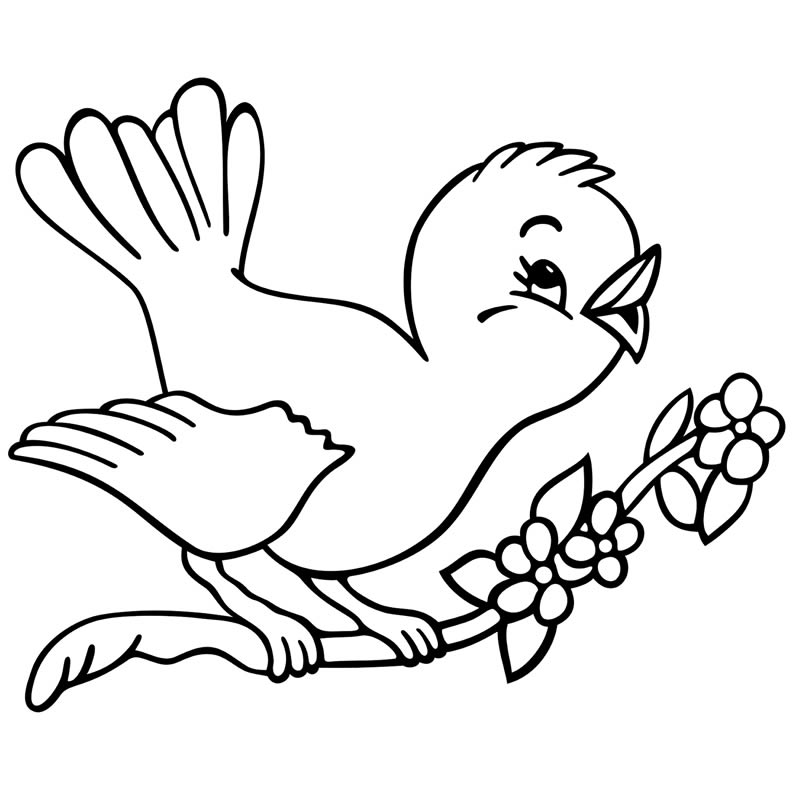 Desenho Pássaro Kawaii para Colorir
