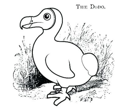 Desenho pássaro para Colorir Giz de Cera