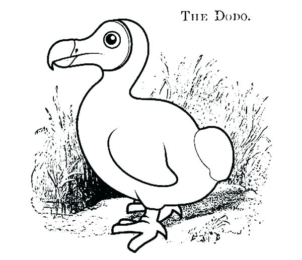 Desenho Pássaro para Colorir Giz de Cera
