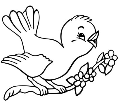 Desenho pássaro para Colorir lápis de Cor