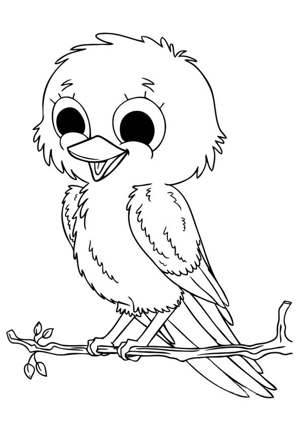 Desenho Pássaro para Colorir