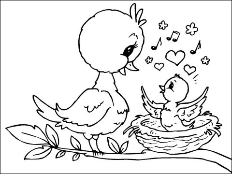 Desenho pássaro Pdf para Imprimir