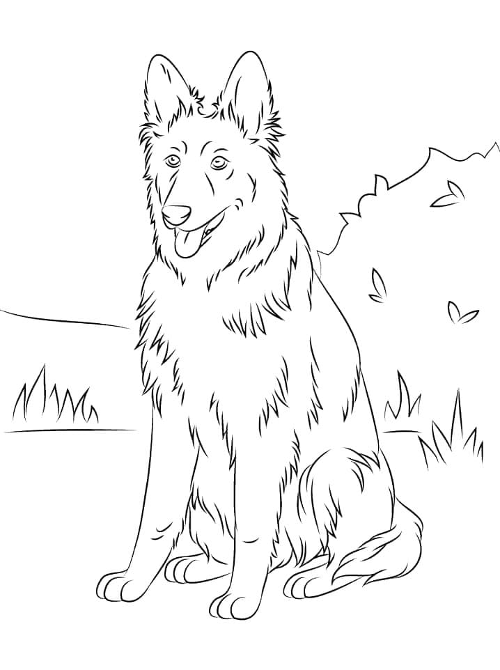 Desenho de Cachorro Pastor Alemão 2 para Colorir