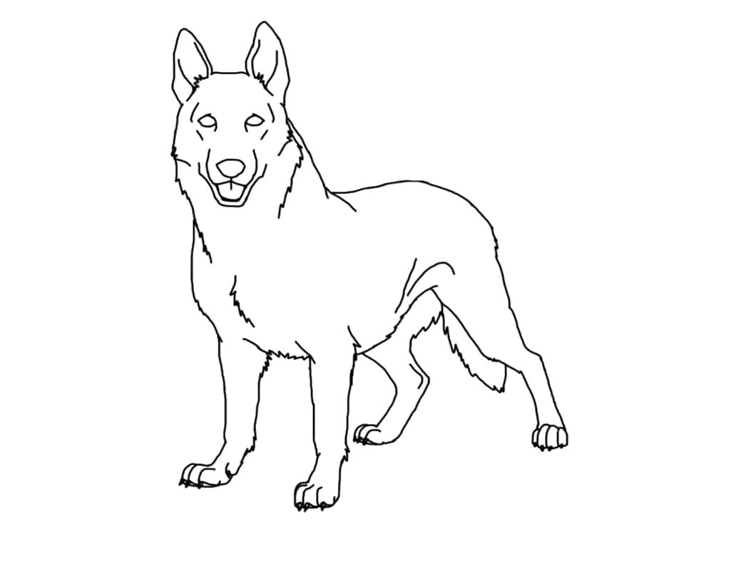 Desenho de Cachorro Pastor Alemão para Colorir