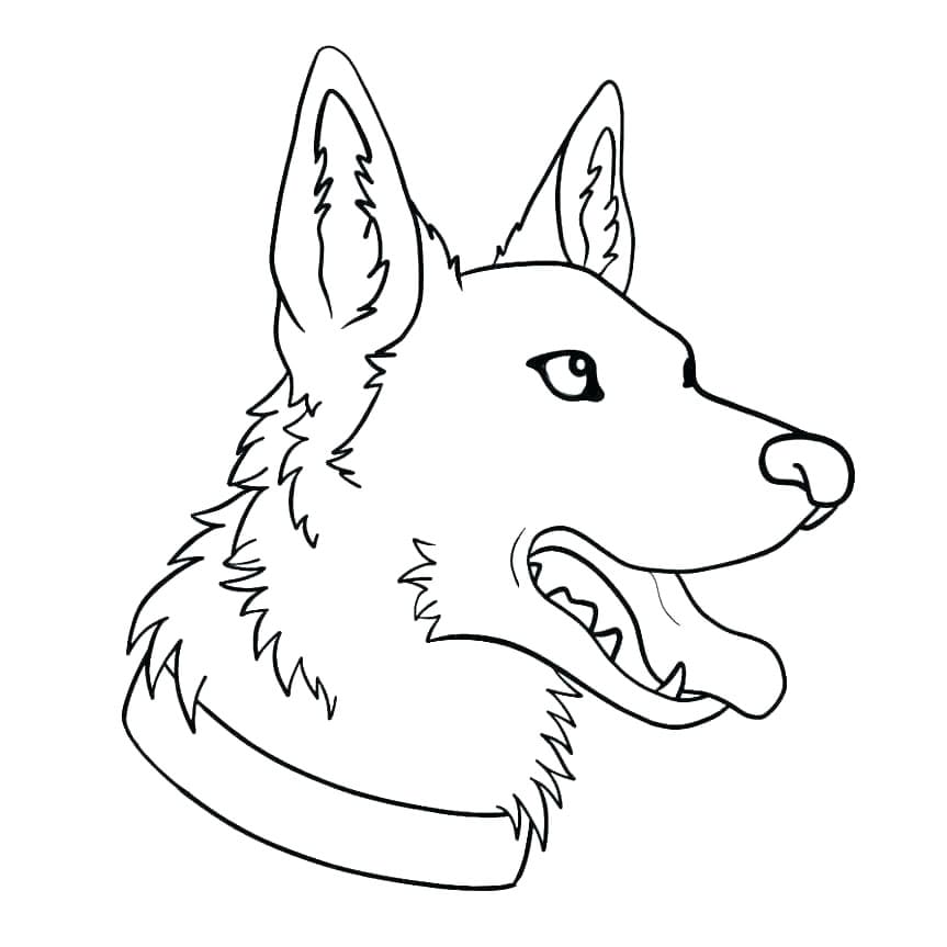 Desenho de Cara de Pastor Alemão para Colorir