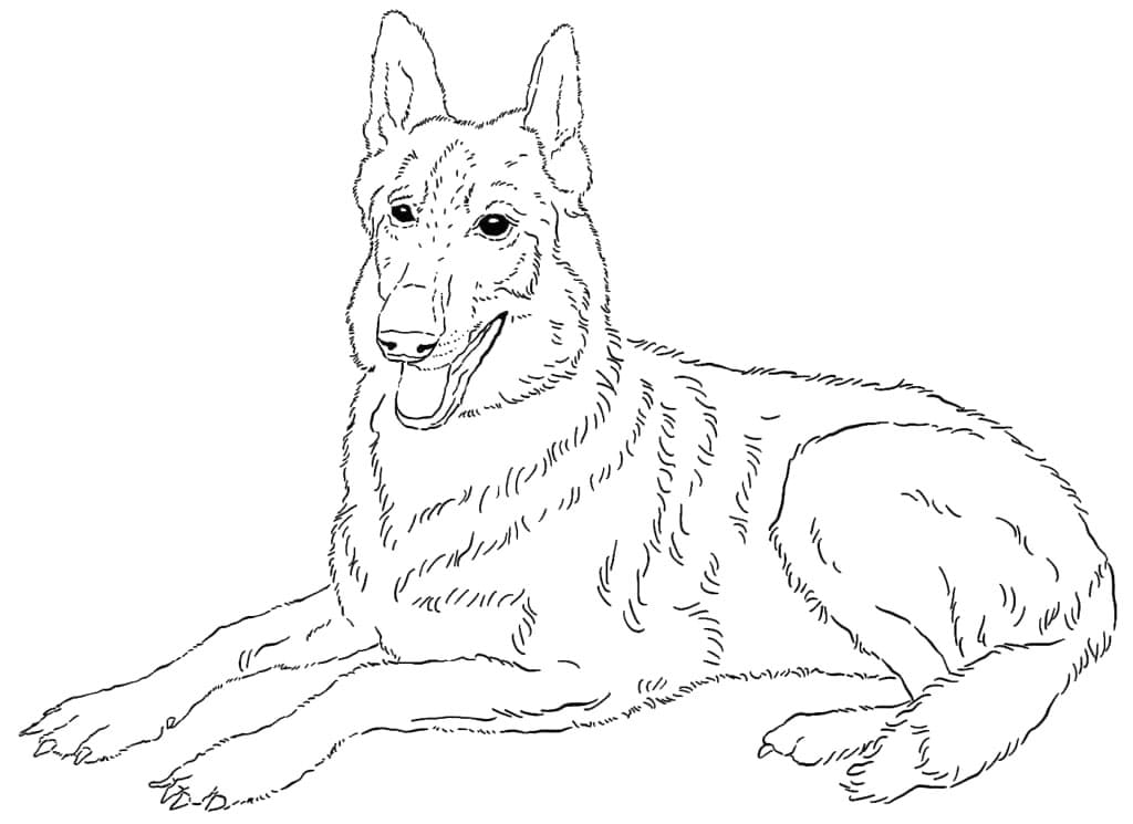 Desenho de Pastor Alemão Grátis para Crianças para Colorir