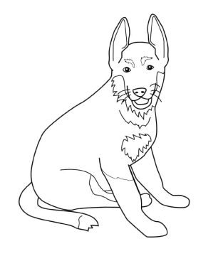 Desenho de Pastor alemão Imprimível para Colorir