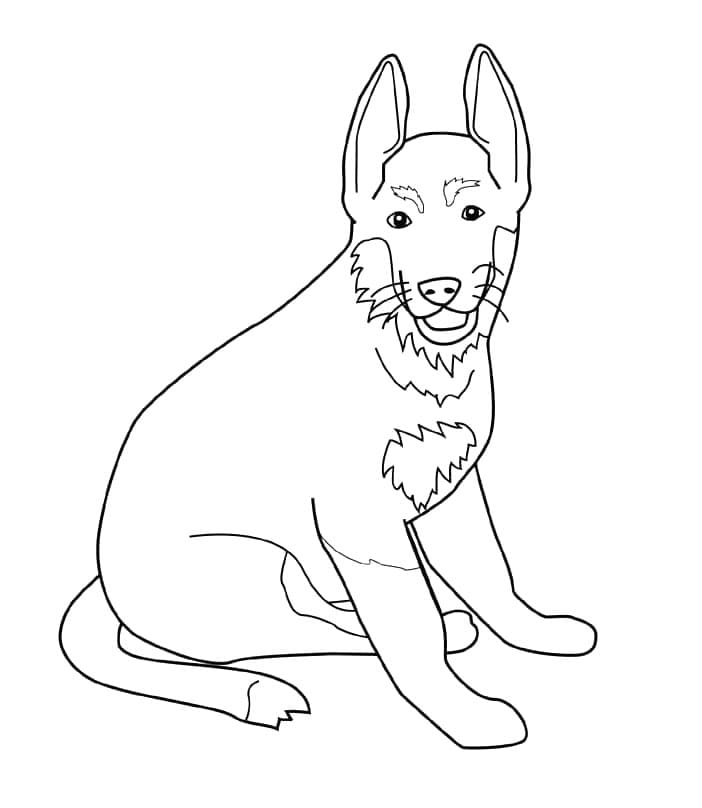 Desenho de Pastor Alemão Imprimivel para Colorir