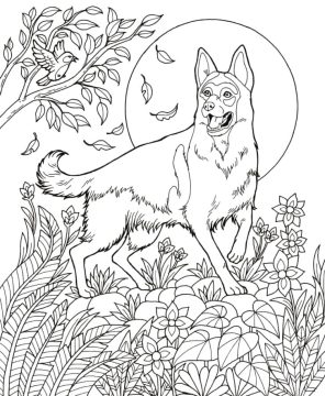 Desenho de Pastor alemão Normal para Colorir