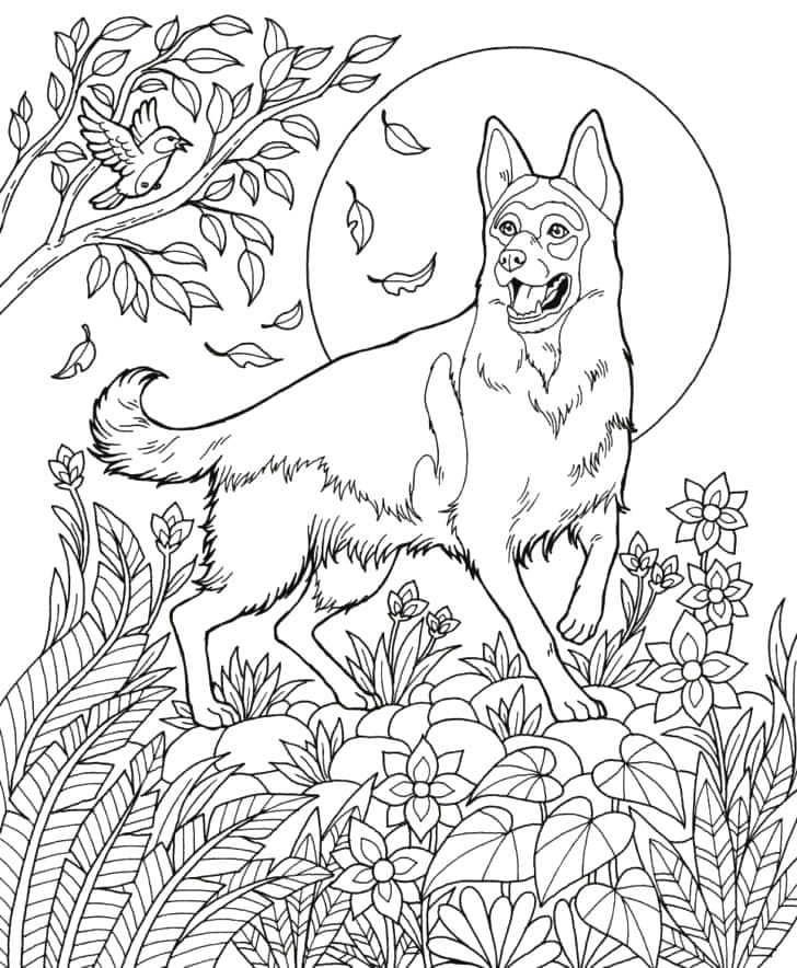 Desenhos de Pastor Alemão para Colorir