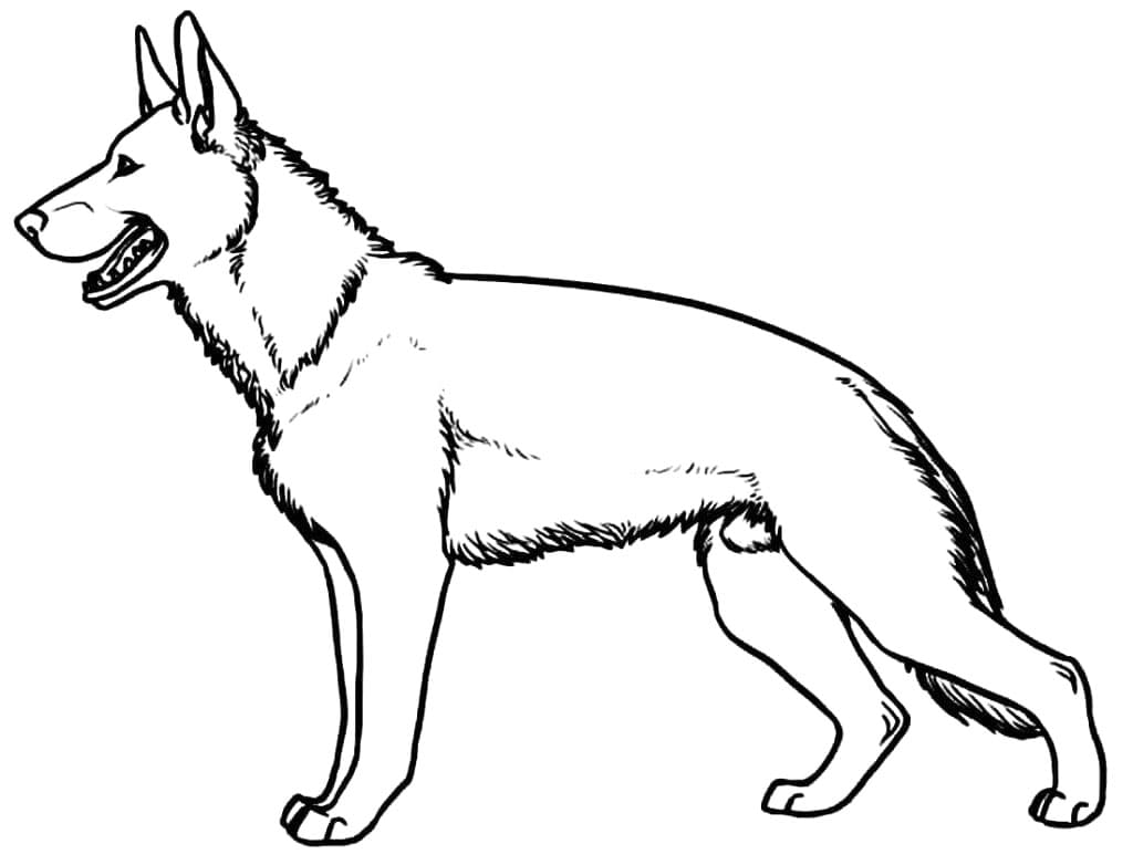 Desenho de Pastor Alemão para Crianças para Colorir