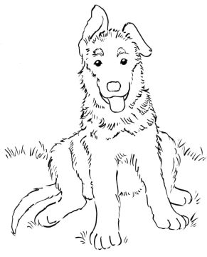 Desenho de Pequeno Pastor alemão para Colorir