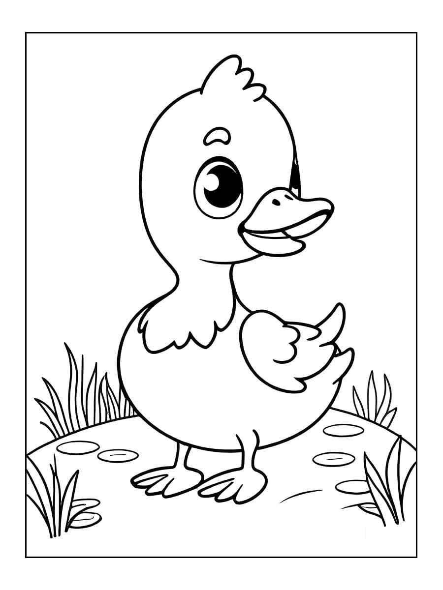 Desenhos de Patinho Imprimivel Grátis para Colorir
