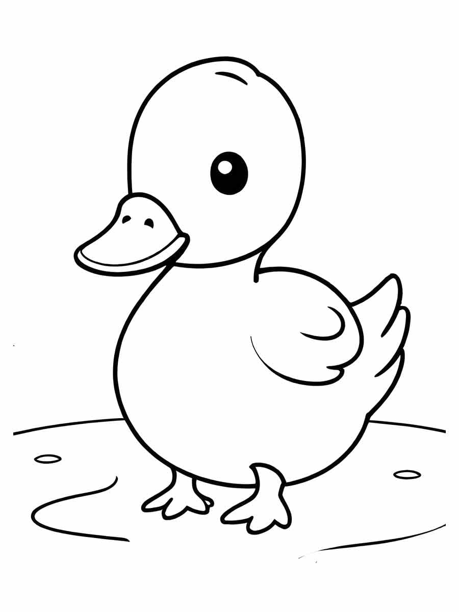 Desenhos de um Patinho Muito Fofo para Colorir