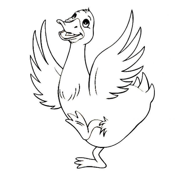 Desenho de Patinho Dançando Download para Colorir