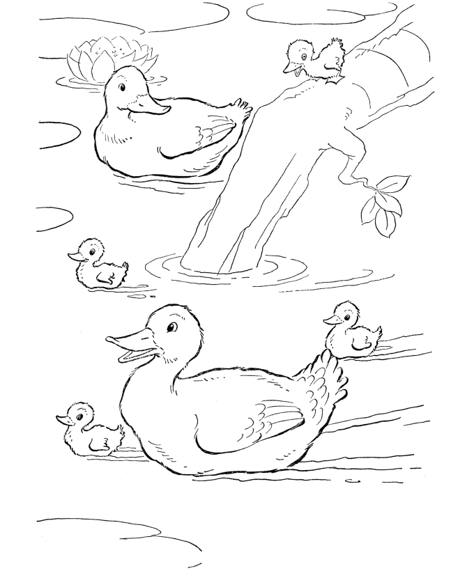 Desenho de Patinho Download para Imprimir e Colorir