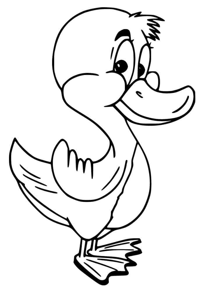 Desenho de Patinho Fácil para Colorir e Pintar