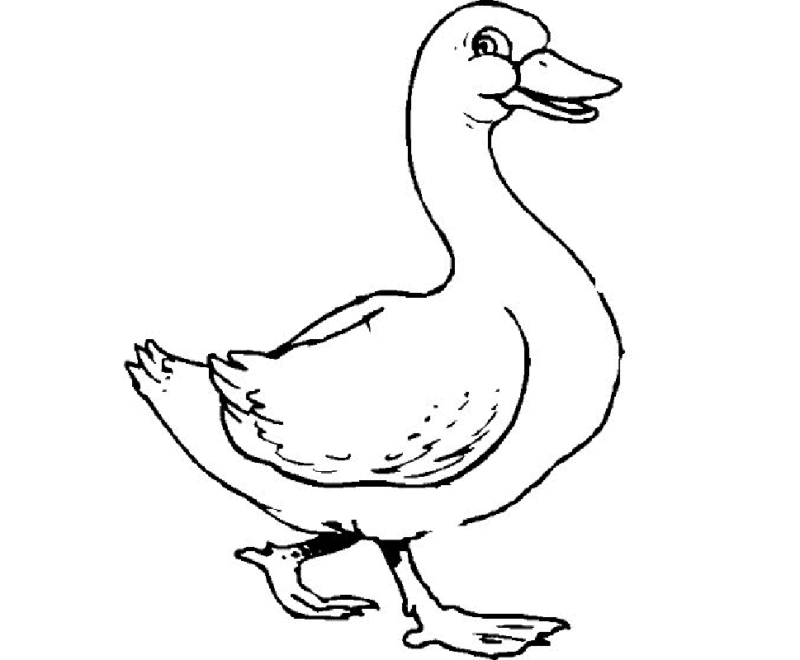 Desenho de Patinho Imprimivel para Imprimir e Colorir