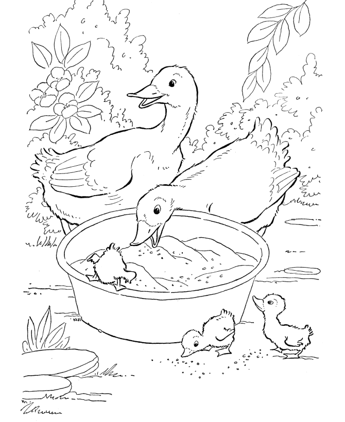 Desenho de Patinho para Imprimir Pdf Grátis
