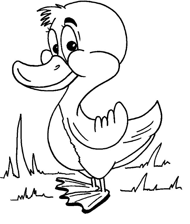 Desenhos de Patinhos para Colorir