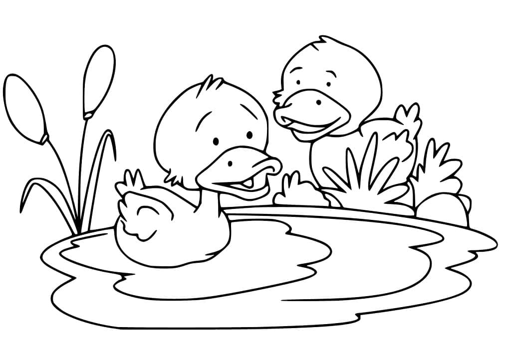 Desenho Dois Patinhos para Colorir