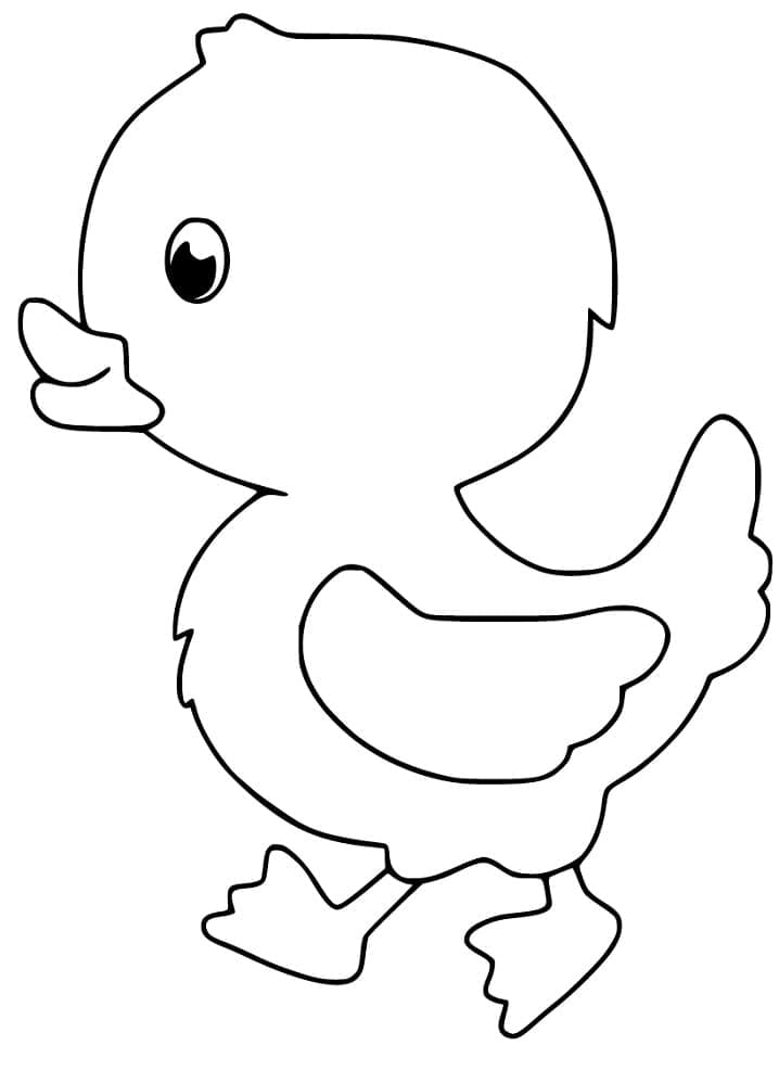 Desenho Lindo Patinho para Colorir