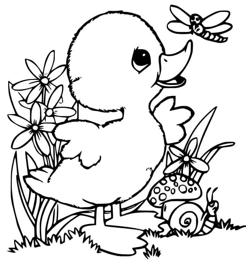 Desenho Patinho Adorável para Colorir