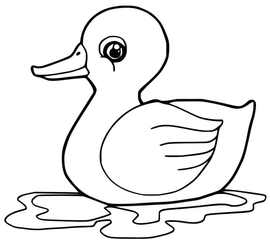 Desenho Patinho Download Pdf para Colorir