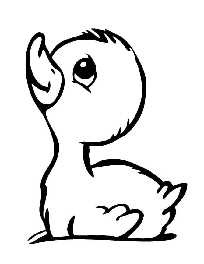Desenho Patinho Imprimivel para Pintar