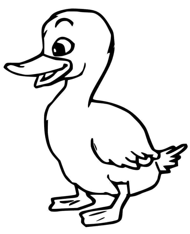 Desenho Patinho para Colorir Giz de Cera