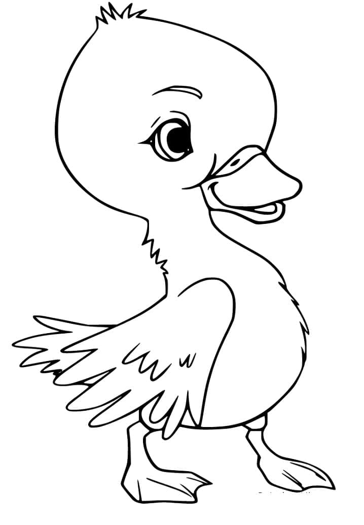 Desenho Patinho para Colorir Tinta Guache