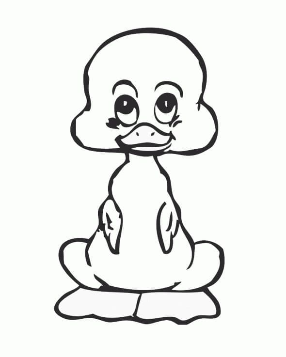Desenho Patinho para Colorir
