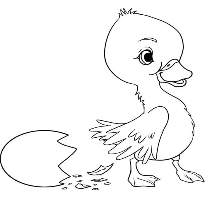 Desenho Patinho Pdf para Imprimir