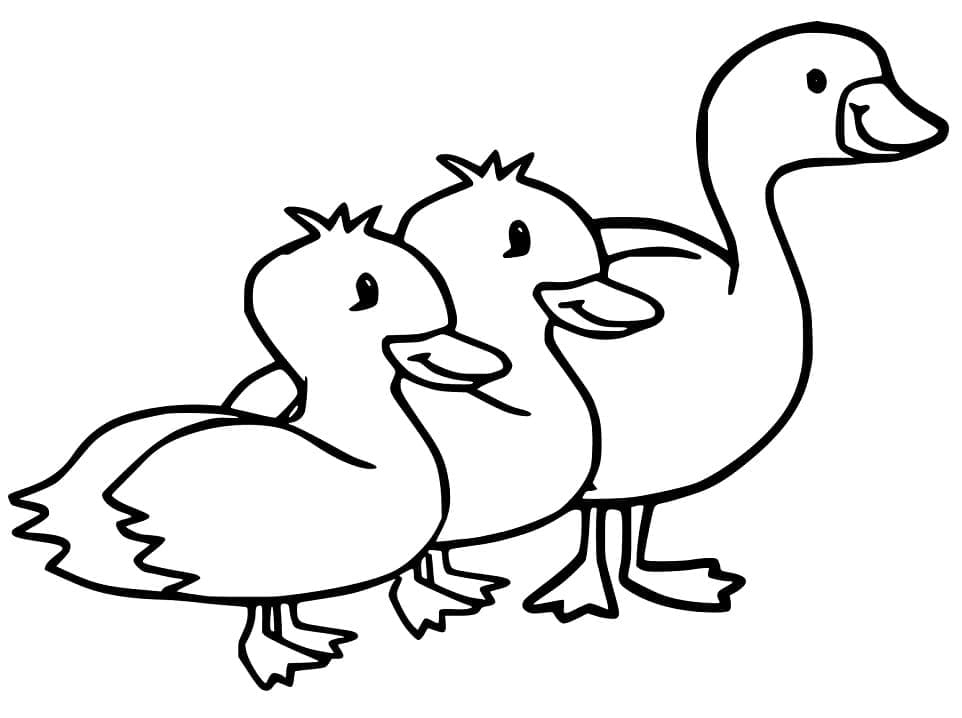 Desenho Patinhos para Colorir