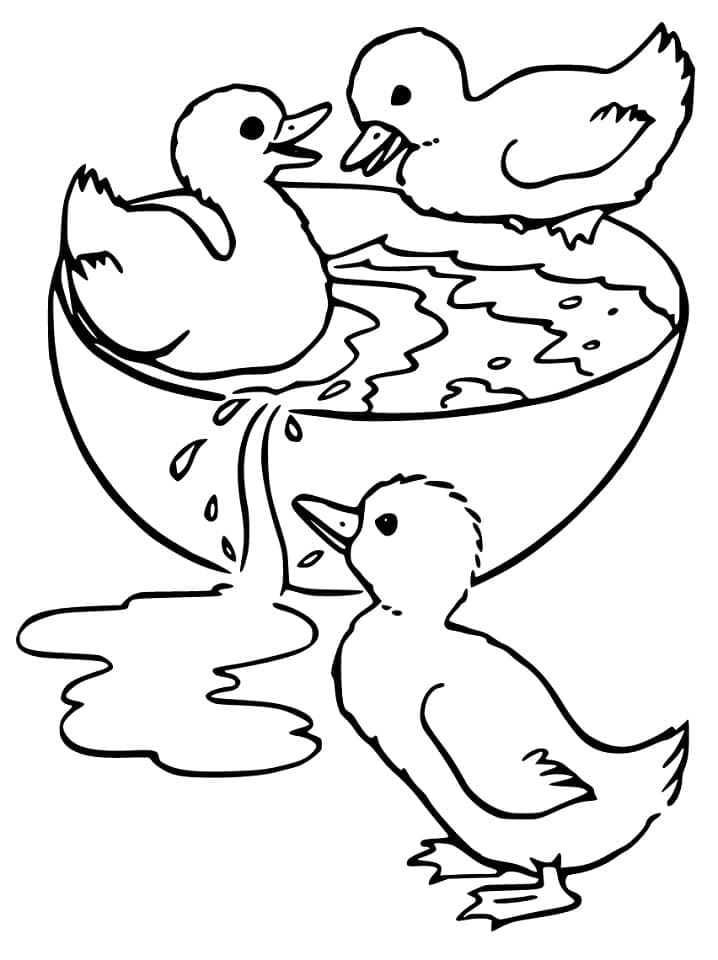 Desenho Três Patinhos para Colorir