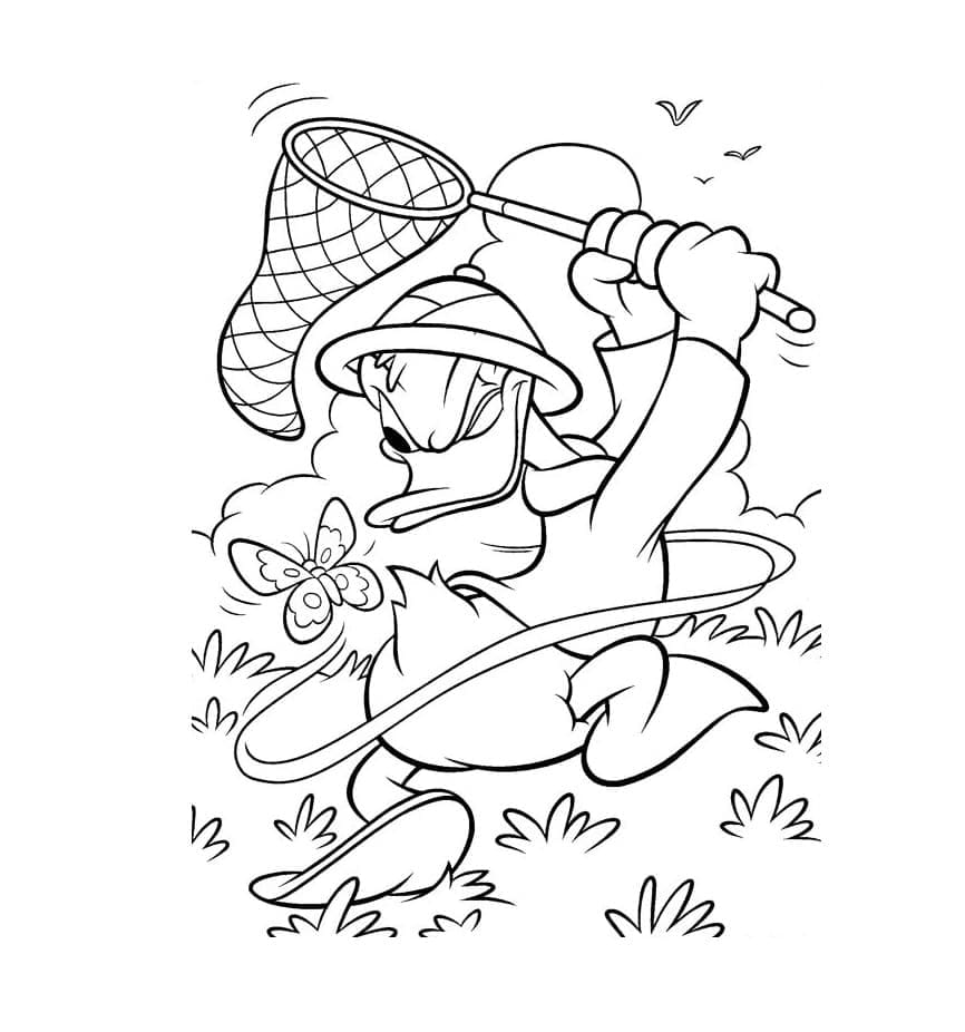 Desenho Pato Donald Está Lutando para Colorir