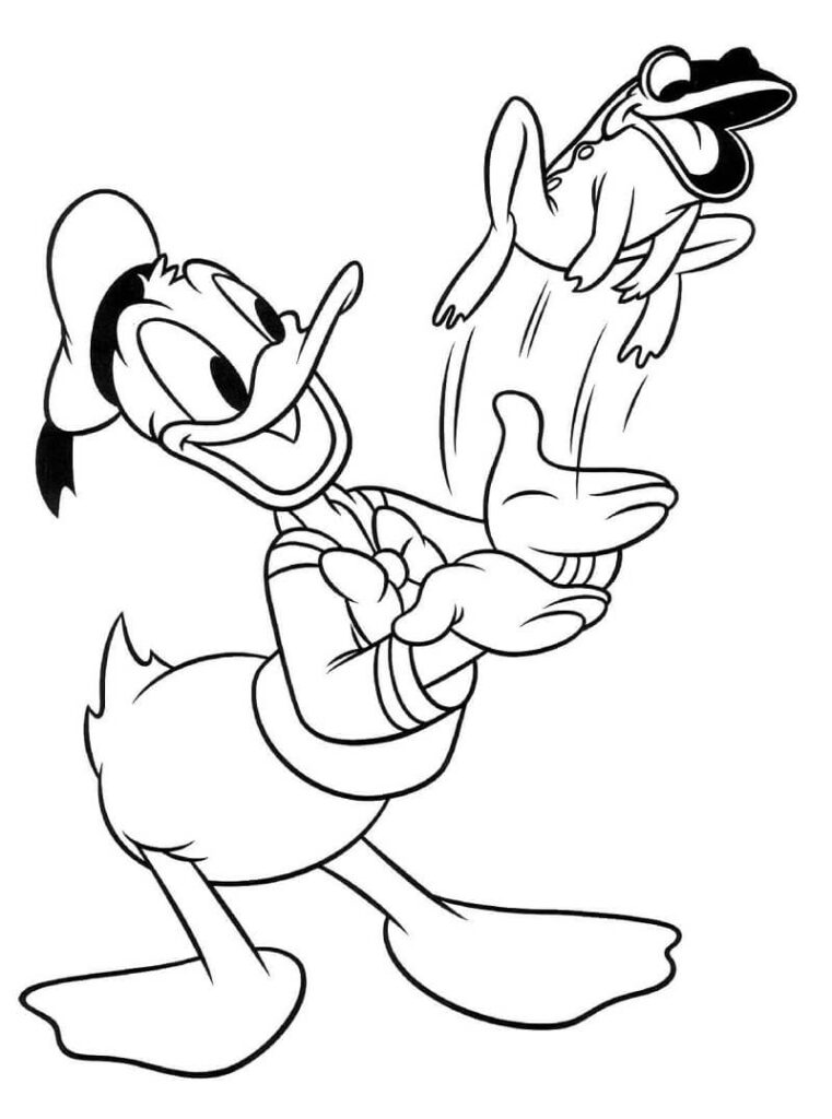 Desenho Donald e Sapo para Colorir