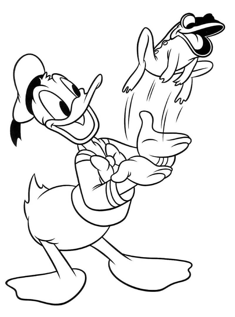 Desenho Donald e Sapo para Colorir