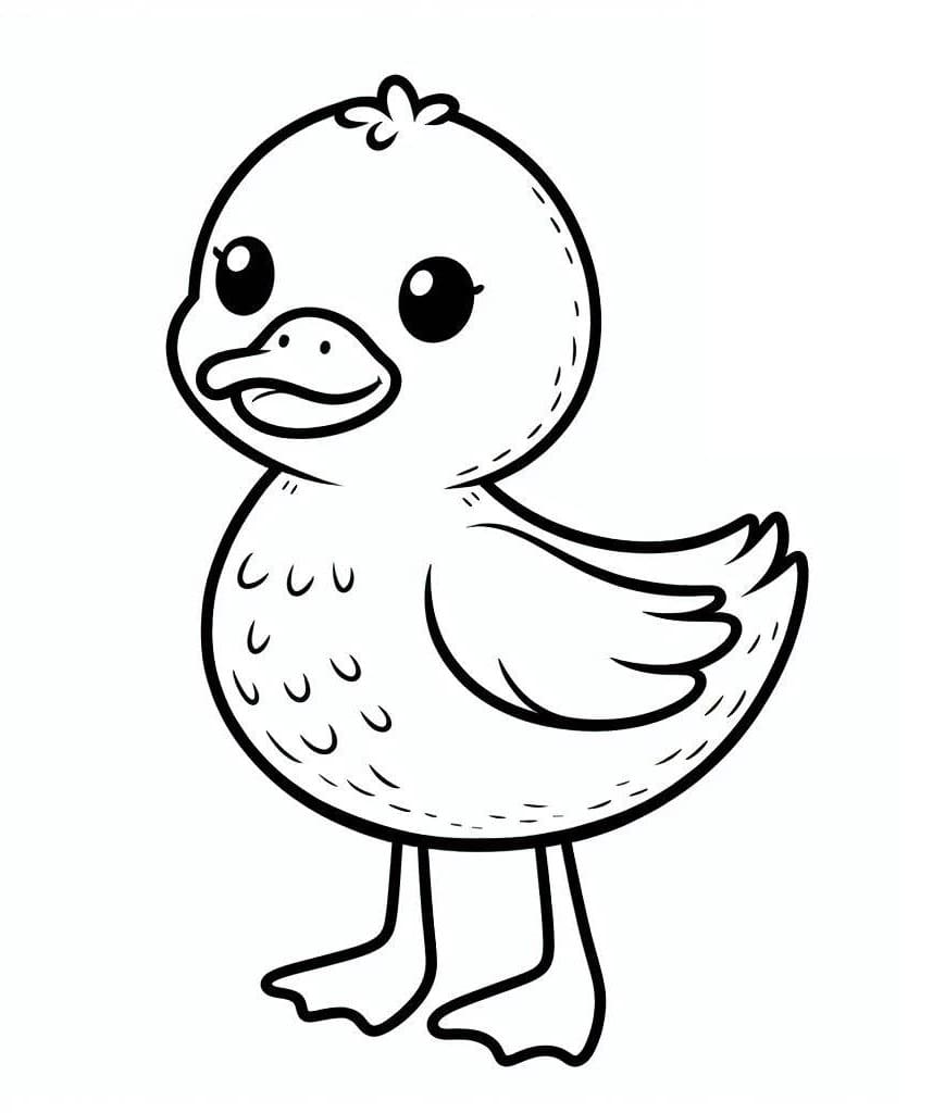 Desenho de Pato Pequeno e Fofo para Colorir