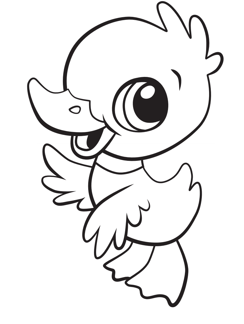 Baixar Desenho de Pato Pdf