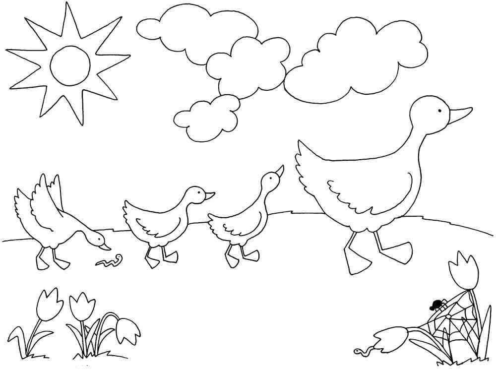 Desenho de Bando de Patos para Colorir