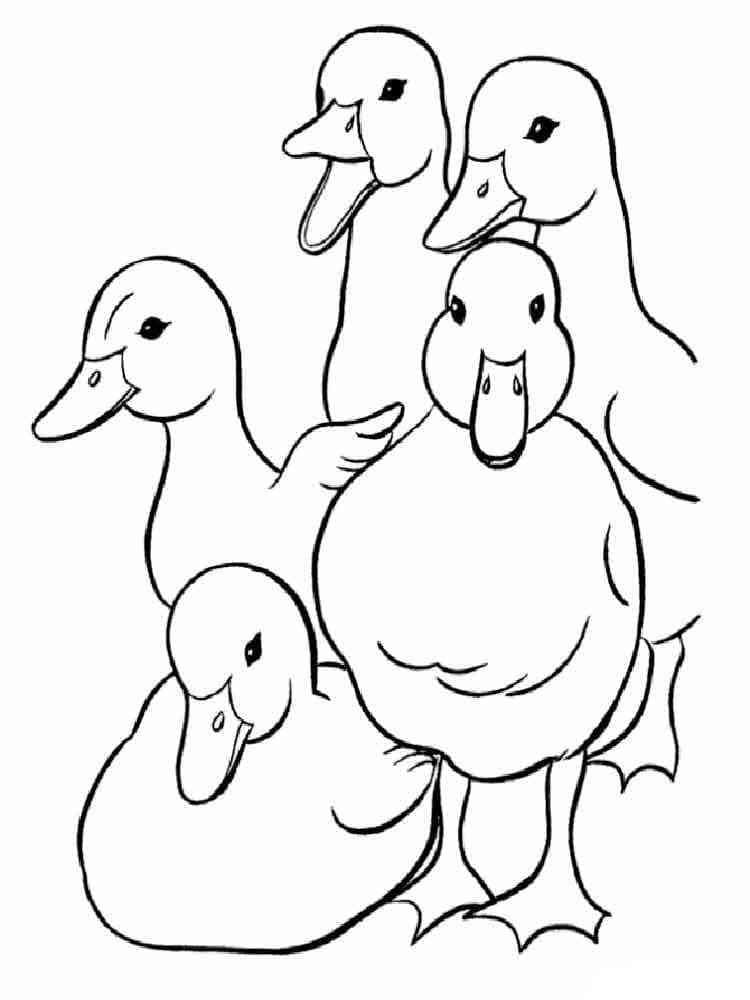 Desenho de Cinco Patos para Colorir
