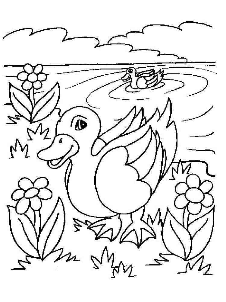 Desenho de Dois Patos para Colorir
