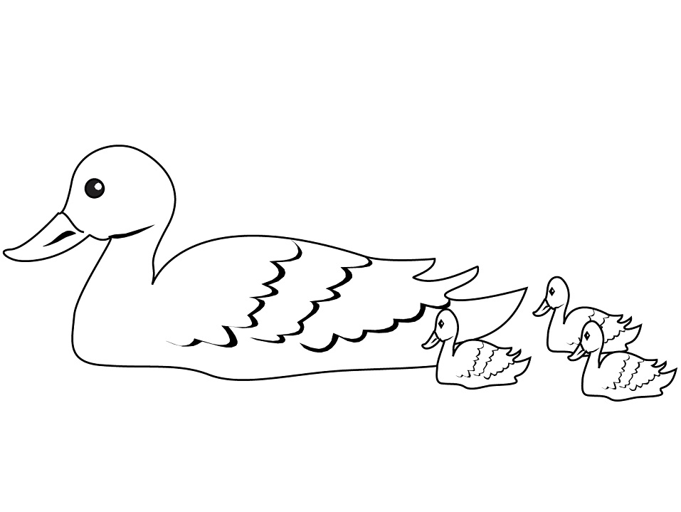 Desenho de Mamãe Pato e Seus Filhotes Nadando para Colorir