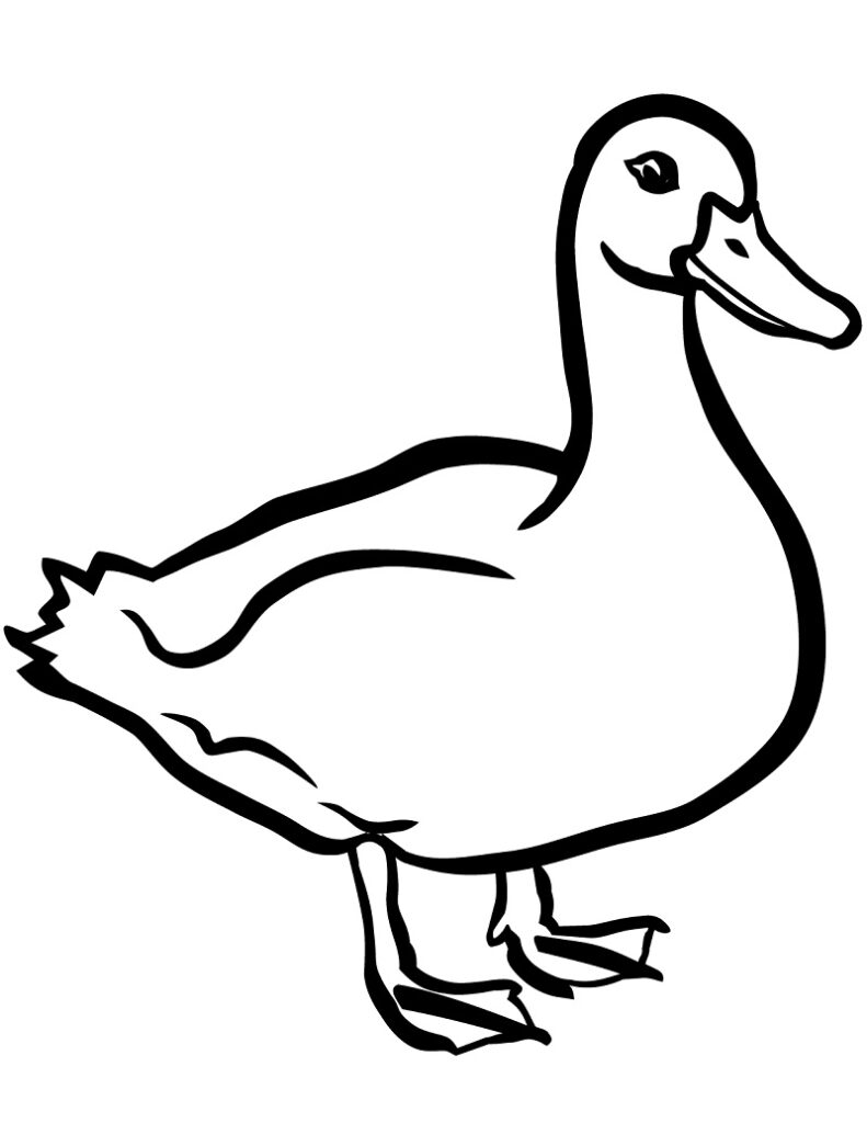 Desenho de Pato
