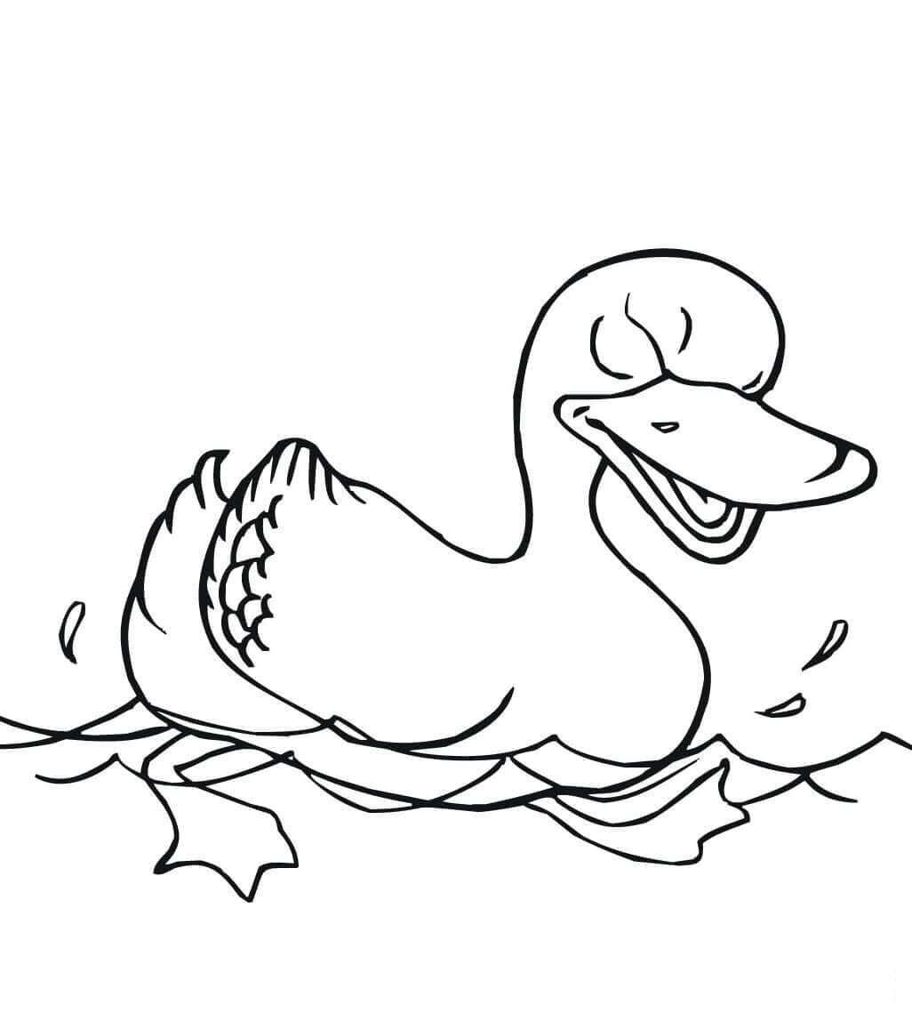 Desenho de Pato Bravo para Colorir