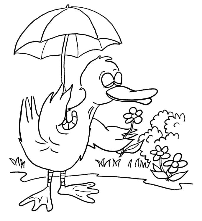 Desenho de Pato Cheirando a Flor para Colorir
