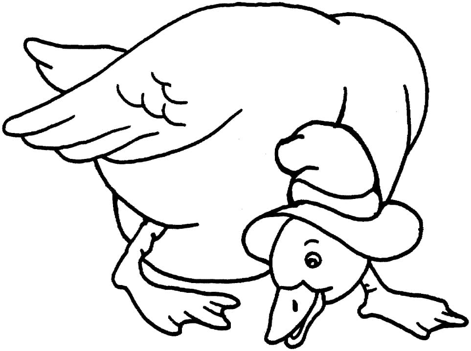 Desenho de Pato Curioso para Colorir