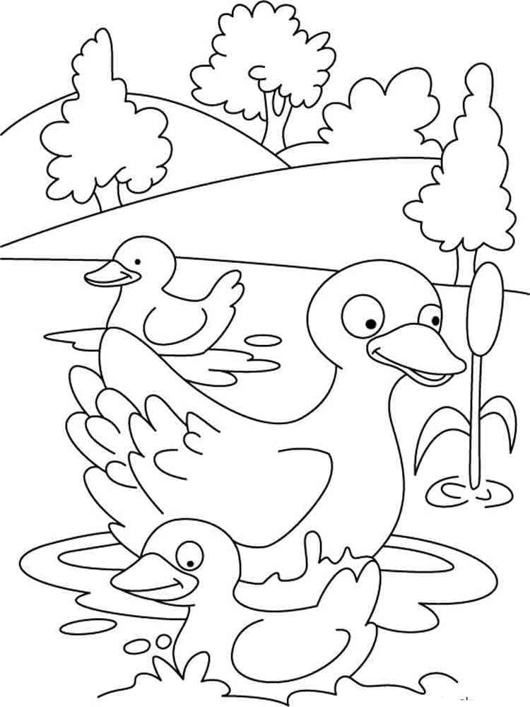 Desenho de Pato e Dois Patinhos para Colorir